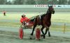 Filename=Don_King_(Hugo_Langeweg)small.JPG
Filesize=216KB
Dimensions=850x532
Date added=Nov 05, 2007 Don_King_(Hugo_Langeweg)small.JPG