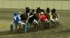 Filename=Fieldsmall.JPG
Filesize=210KB
Dimensions=850x471
Date added=Nov 05, 2007 Fieldsmall.JPG